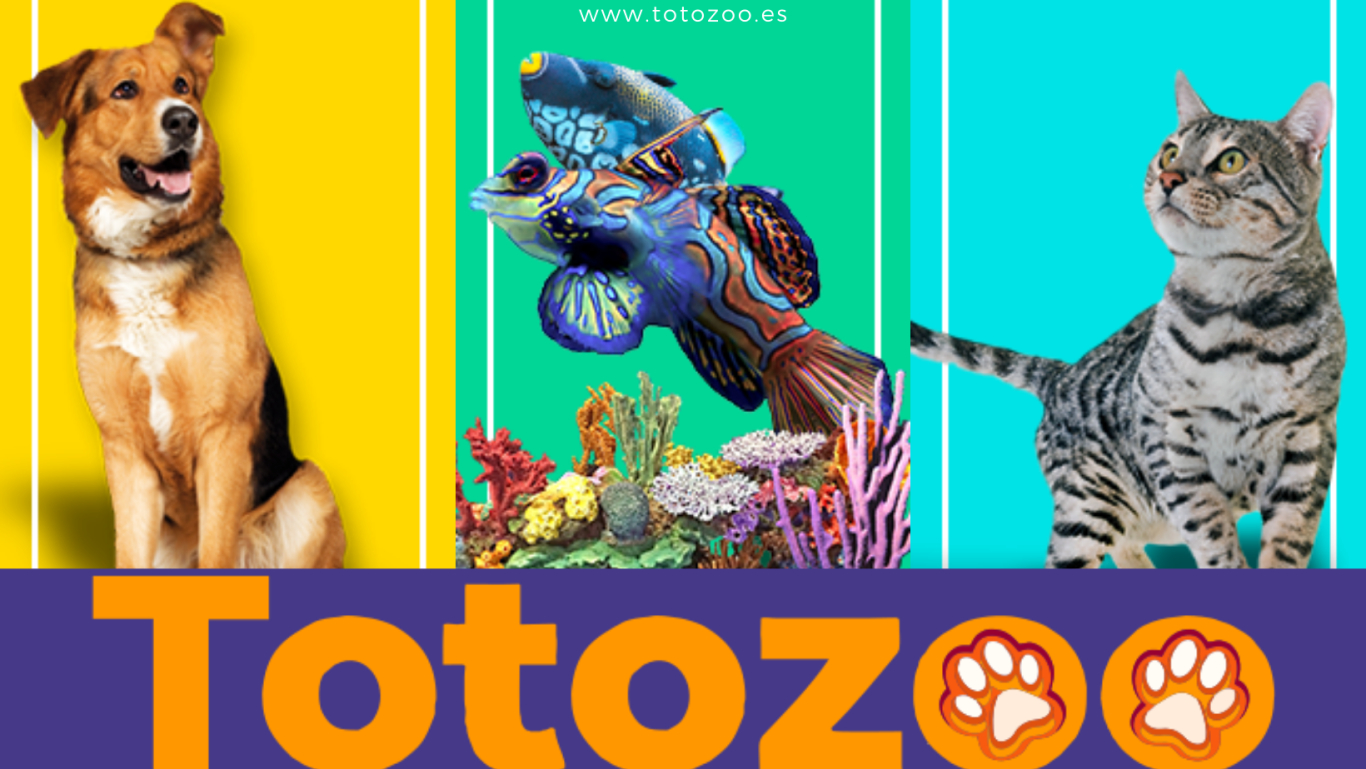 Totozoo - Pet Shop de fondo