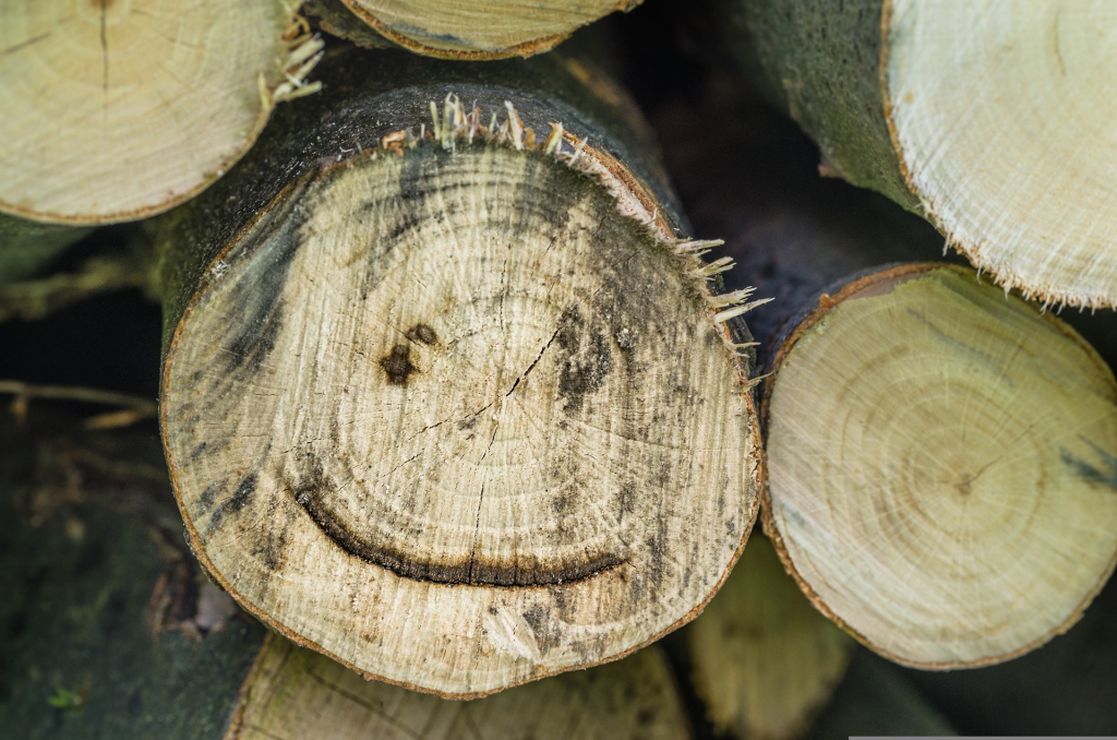 NV Internet Republic Internationals achtergrond