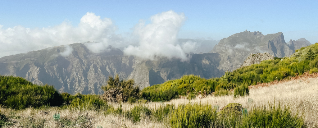 A.S.Adventures achtergrond