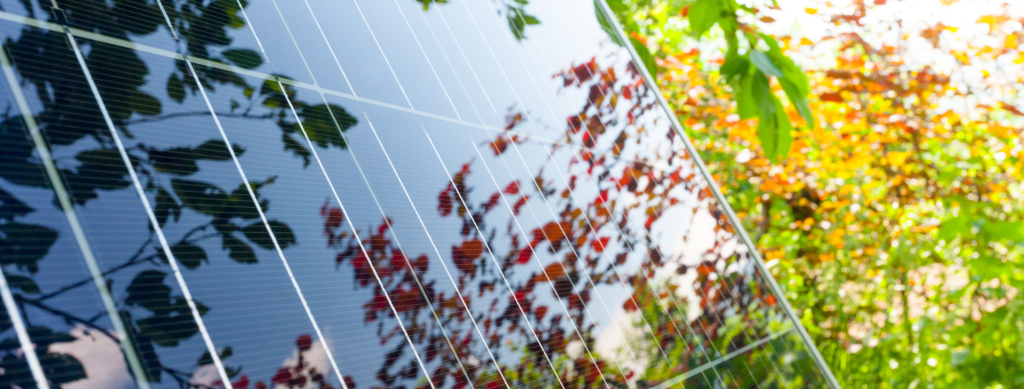 sps24.eus background