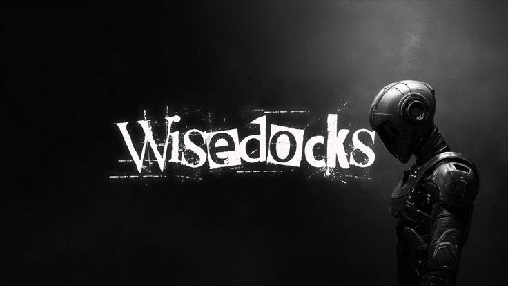 wisedocks.coms background