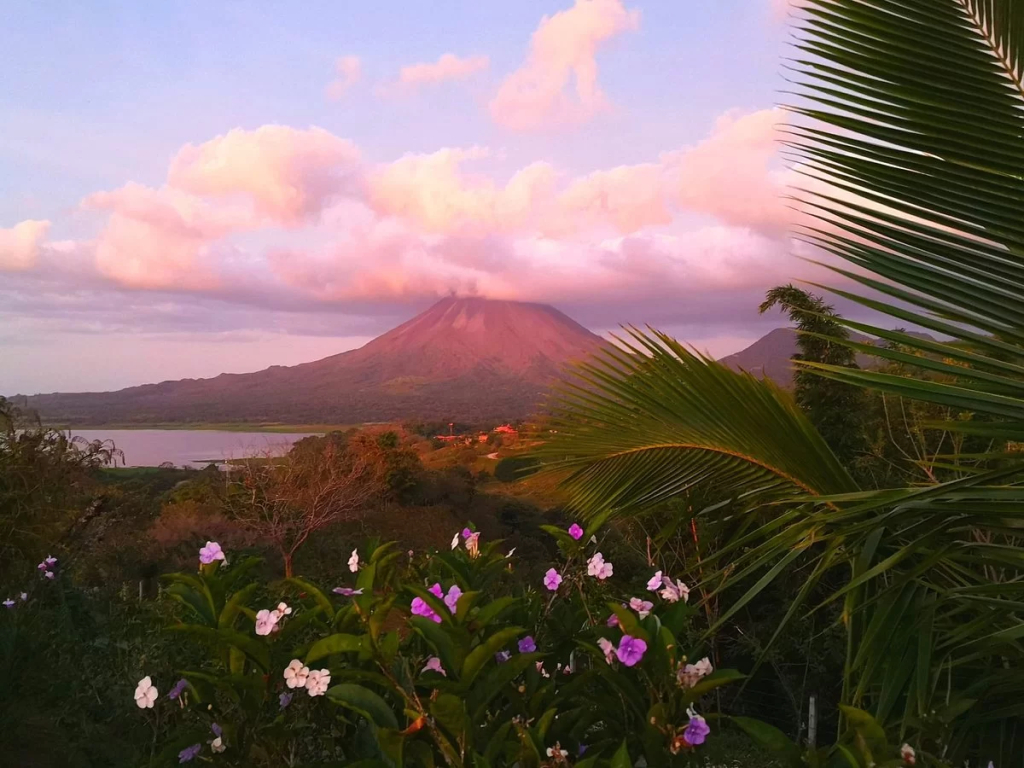 essencearenal.coms background