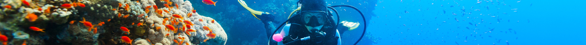 4diverss achtergrond