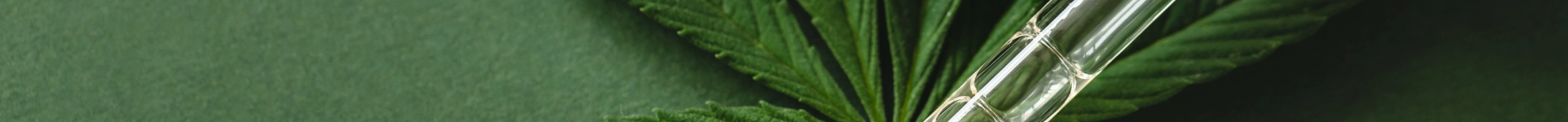 Le Cannaisseurs achtergrond