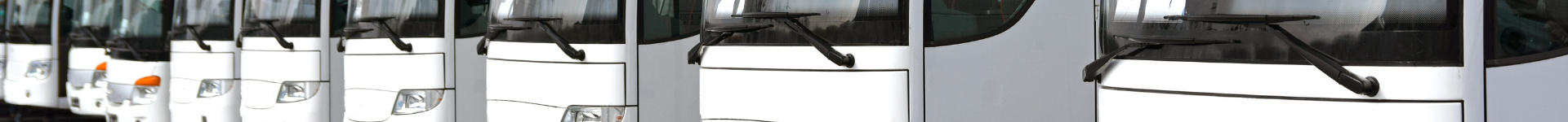 Bus Rental Dubais background