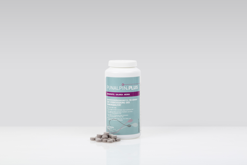 punalpin.de Hintergrund