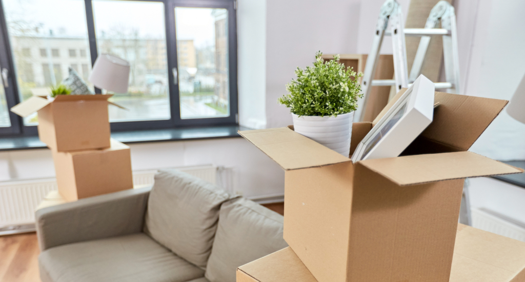 Place-X Shop Hintergrund