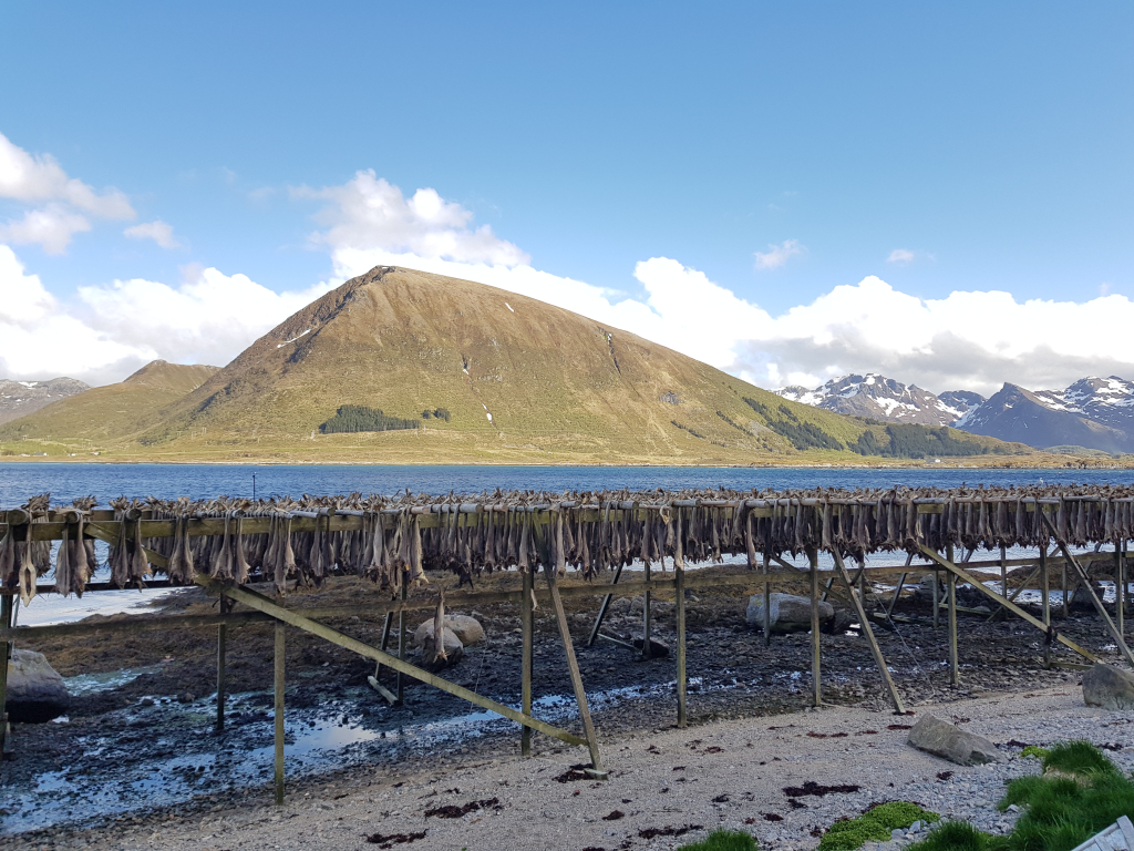 Stokvisonlines sfondo