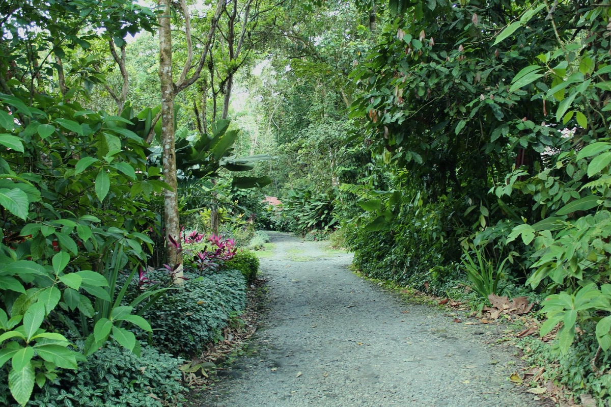 Arenal Oasis Eco Lodge & Wildlife Refuges background