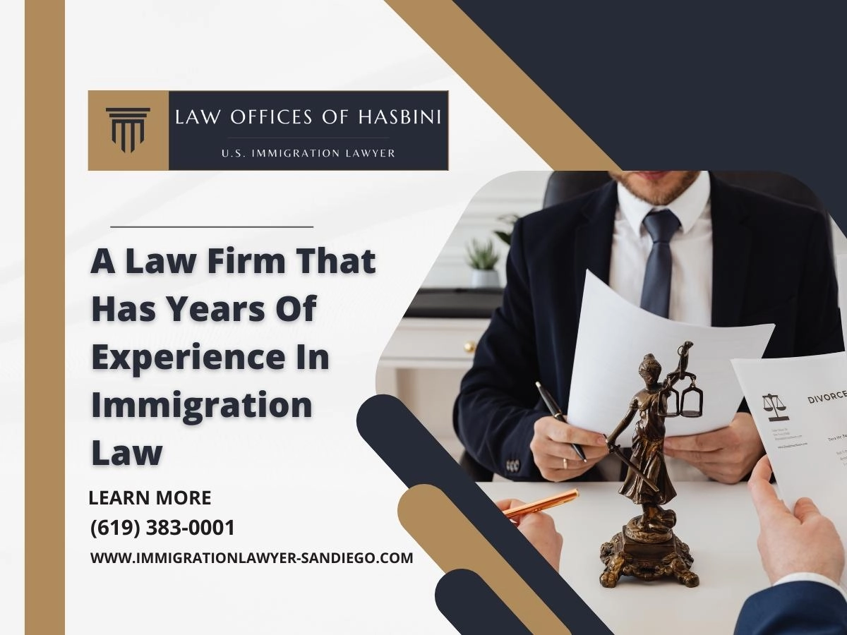 Immigration Lawyer San Diegos background