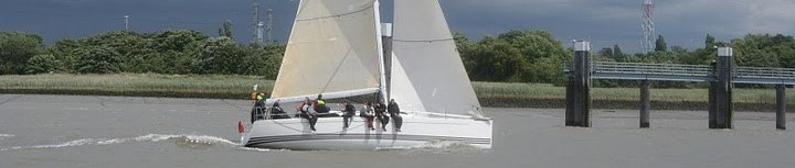 Cedo Nulli bv arrière plan