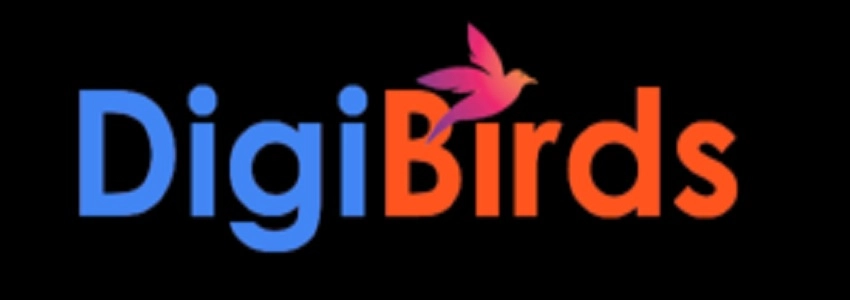 DigiBirds360: Performance Marketing Agencys background