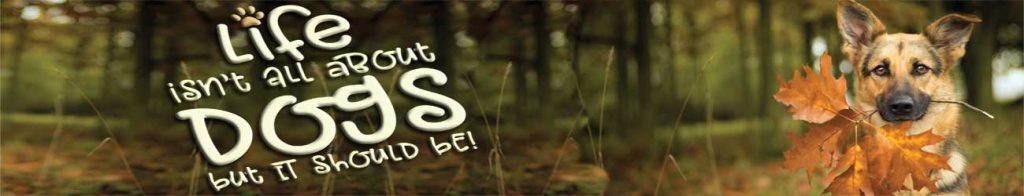 Clicknfetchs background