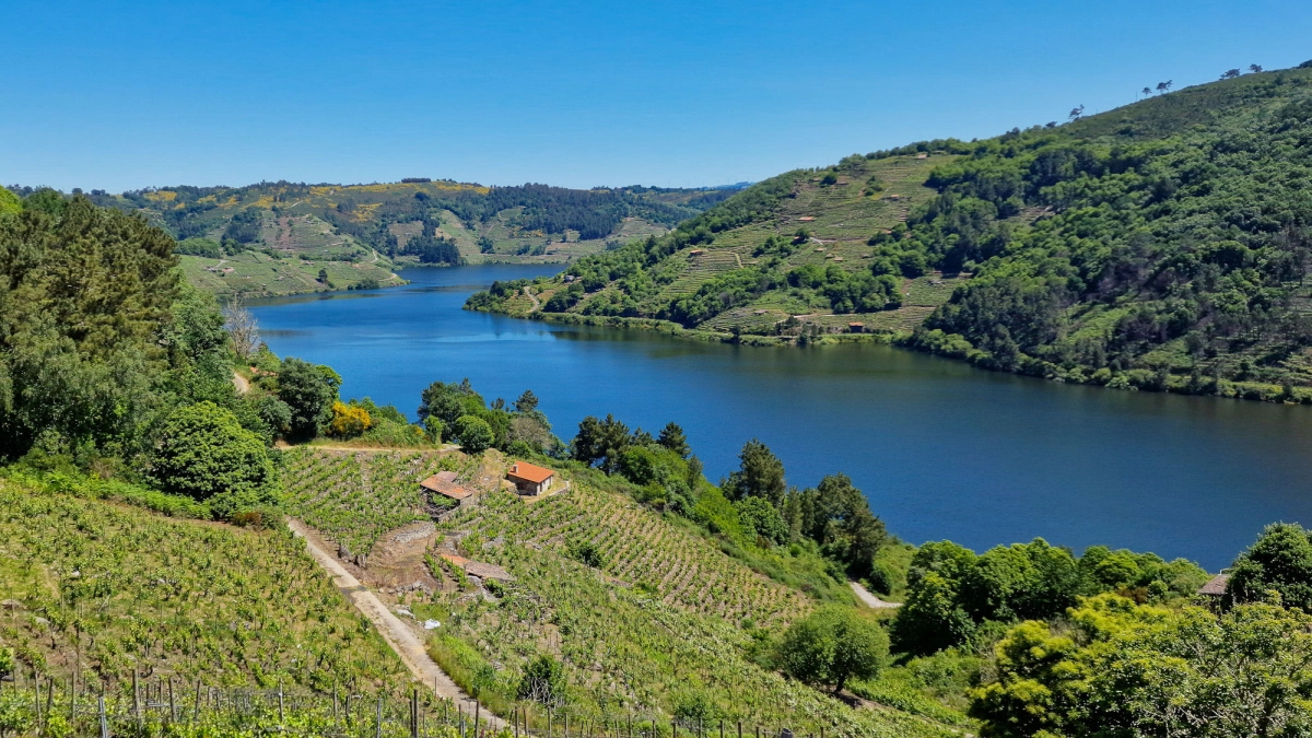 VinNatura de fondo