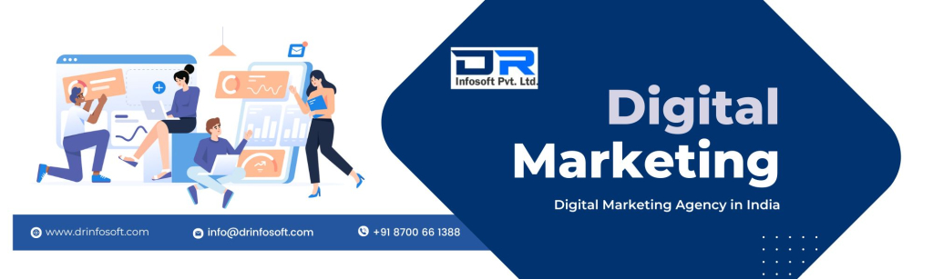 DR Infosoft Pvt.Ltd.s background
