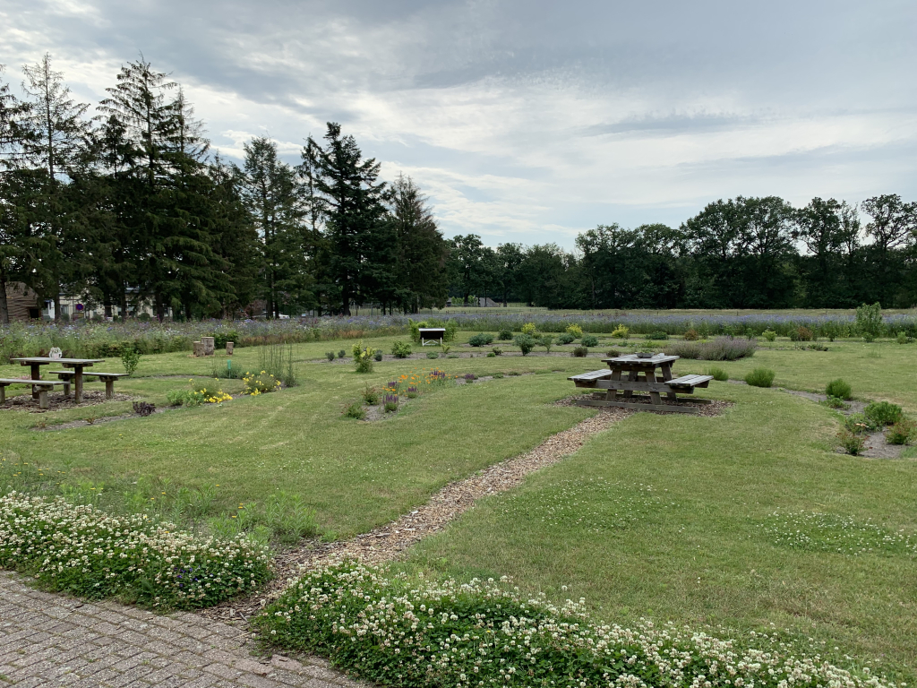 Imkerij BijDaans background