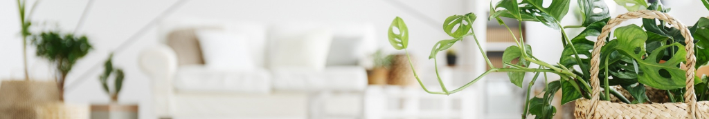 Plantcentraals achtergrond