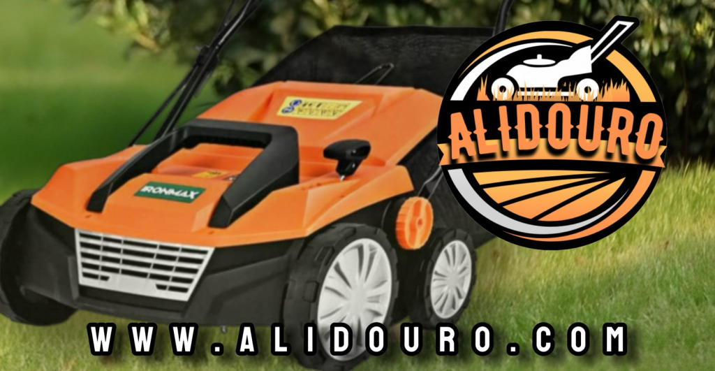 Alidouros background