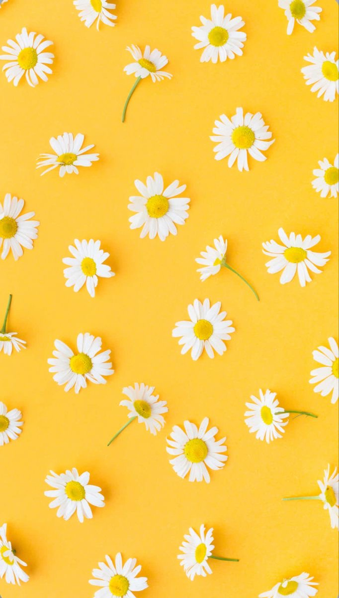 biorundums achtergrond