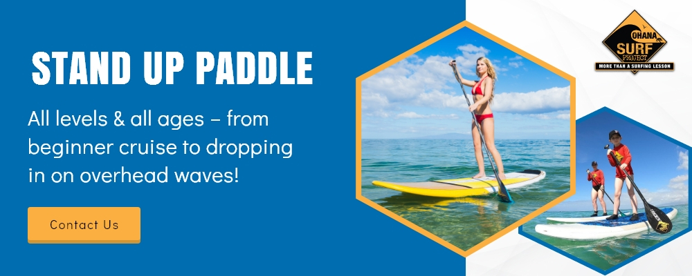 Ohana Surf Projects background