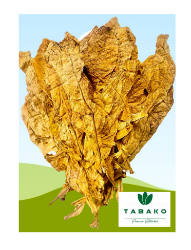 Tabako.de Hintergrund