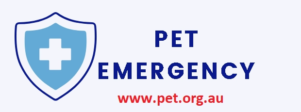 Pet Emergency Servicess background