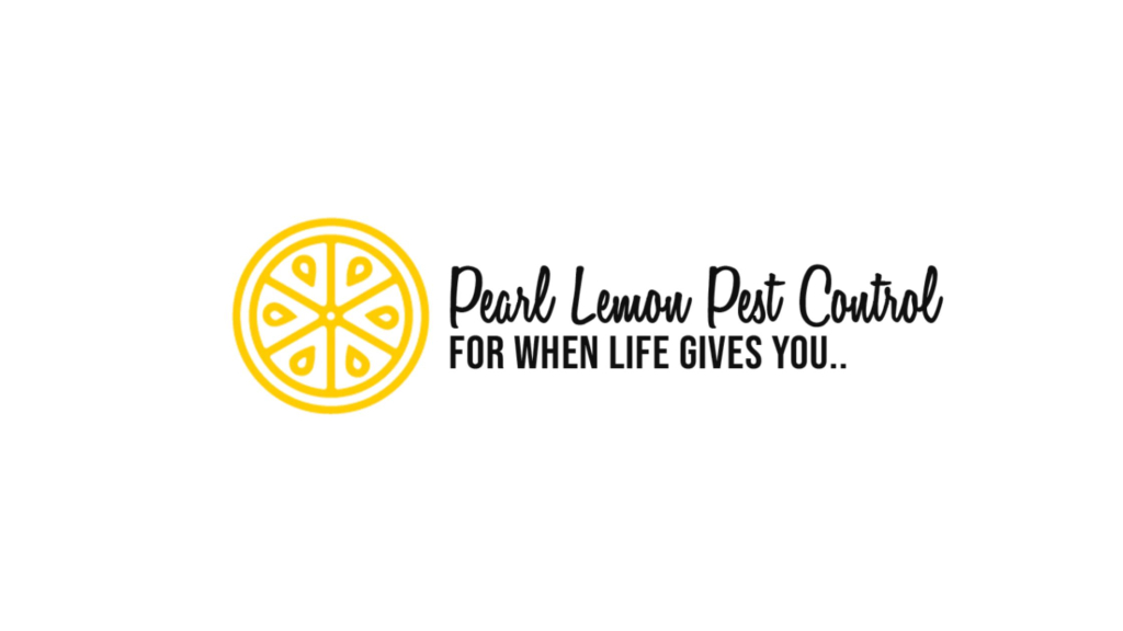 PL Pest Control arrière plan