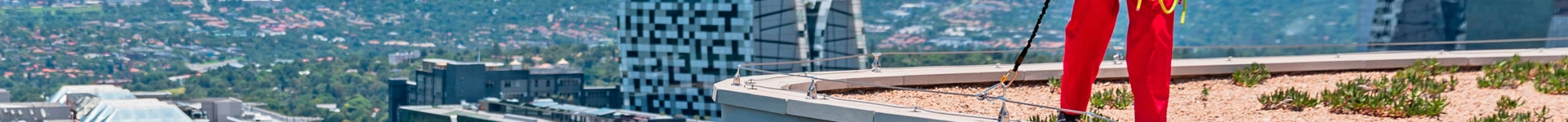 Lineas de Vida de fondo