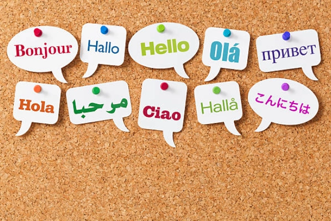 Morningstar Translations background