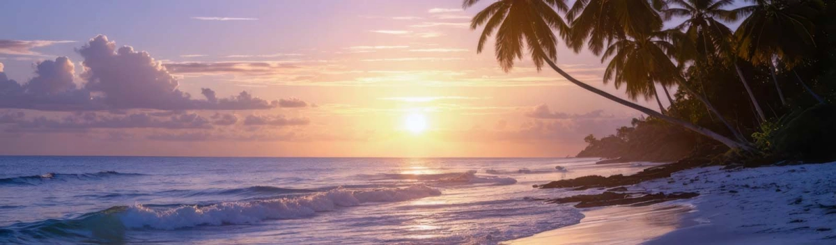 Wandbilderdirekt.de Hintergrund