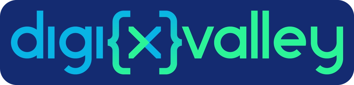 Digixvalley LLcs background