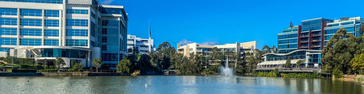 Dank Designss background