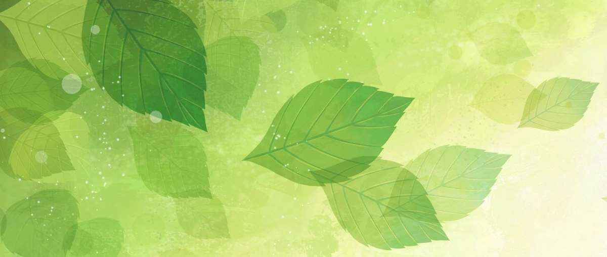 Pozadina Ecology108.com