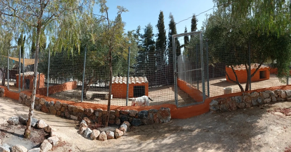 Residencia canina la dama y el vagabundo de fondo