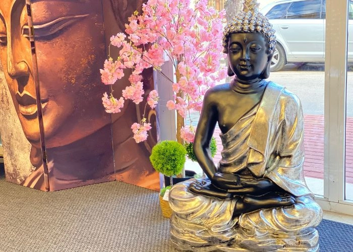 Eledencelestialstore de fondo