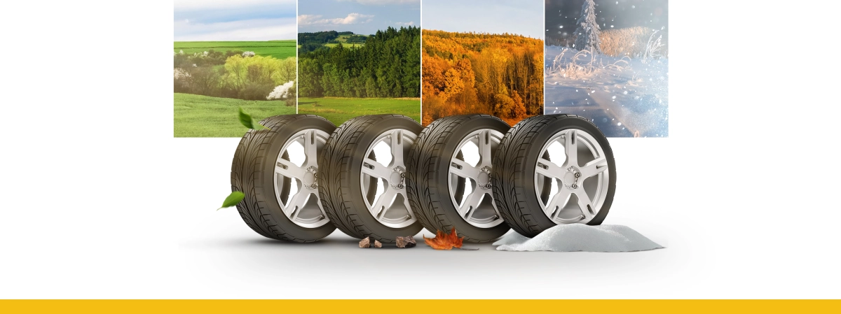 Saburavebi.ges background