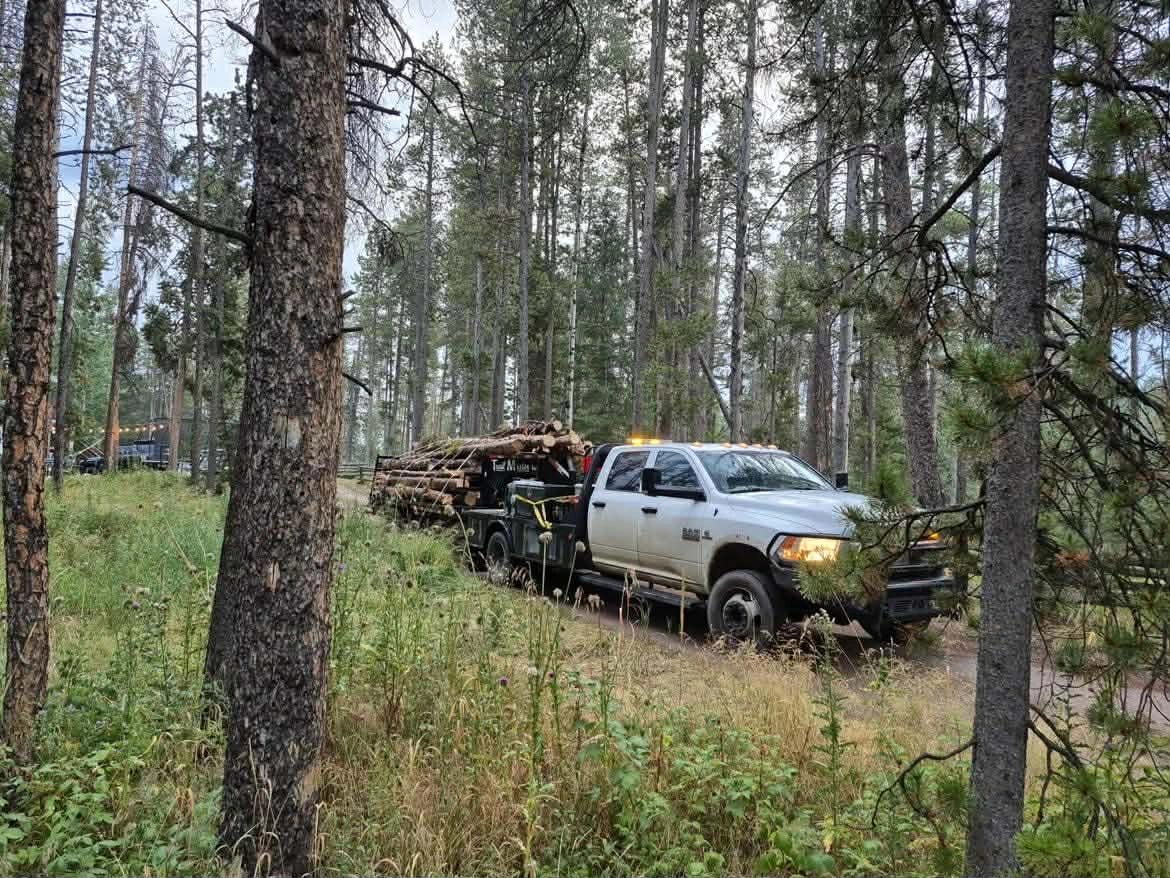 Tree Service Denver LLCs background