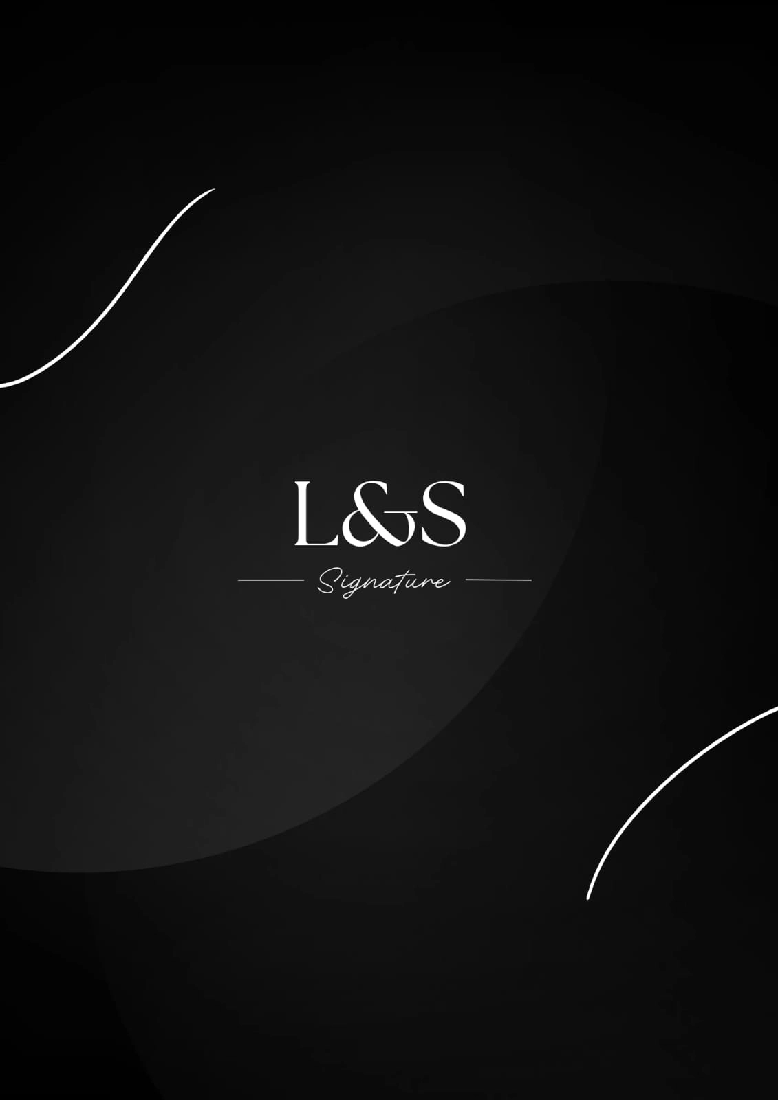 Larsen & Stellar Aviations background