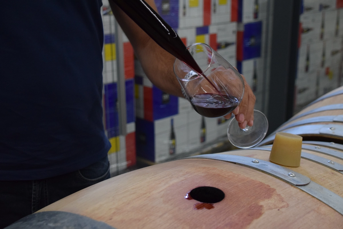 Sebastiaan Wijnimports achtergrond