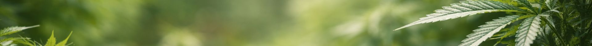 Bulk Genetics de fondo