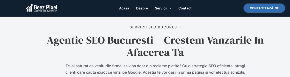 Agentie SEOs background