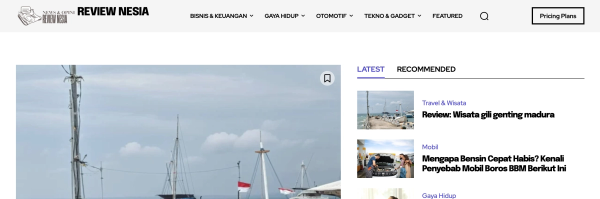 Review Nesias background