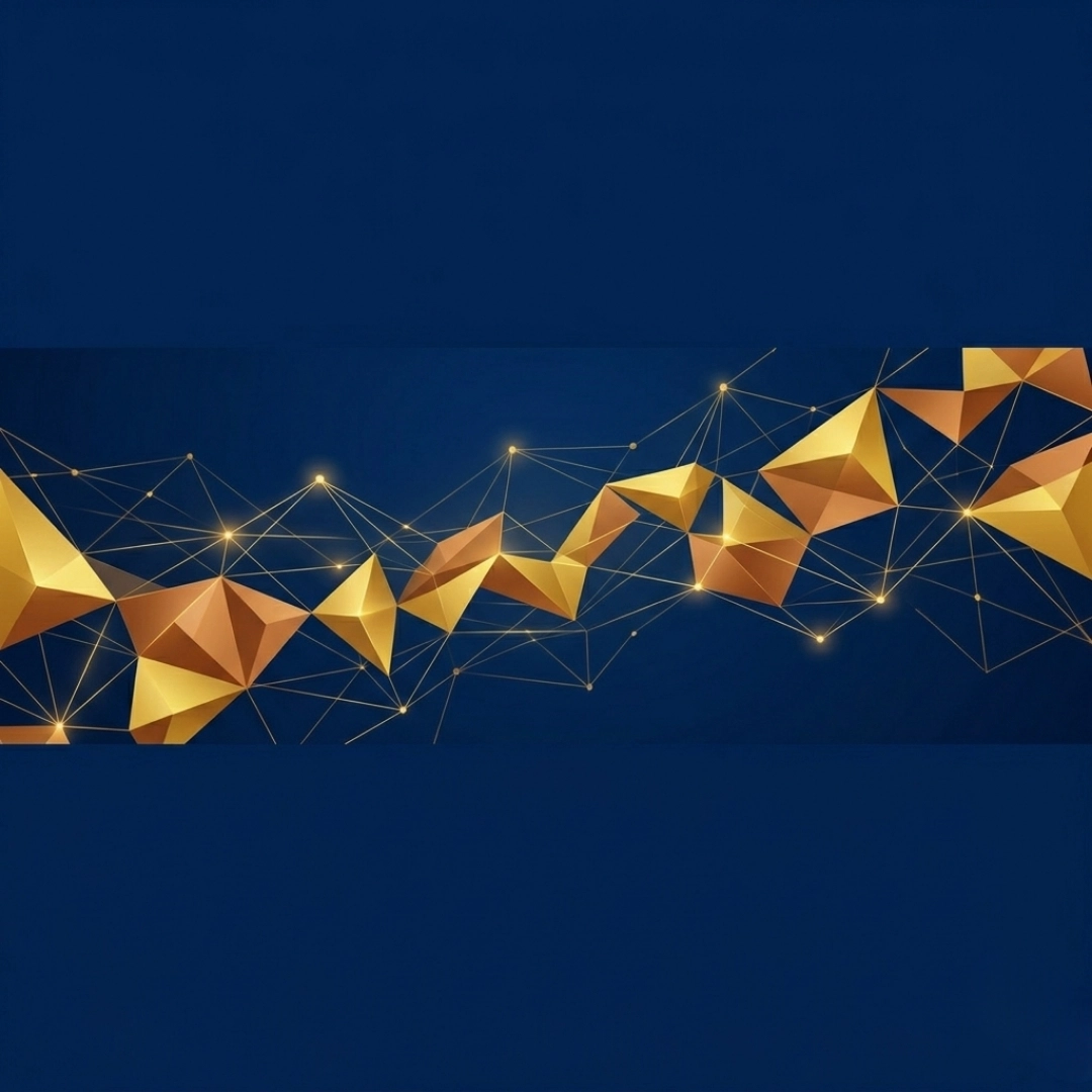 Kolaybilgi360s background