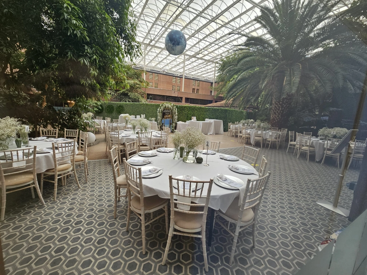 Kylah Groups background