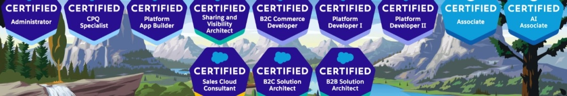 Folio3 CRMs background