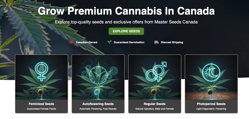 Masterseeds Cannabis Seedss background