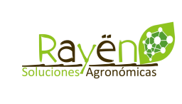 Logotipo de Rayen
