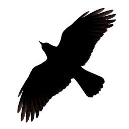 Logo of ravenhillremovals.co.uk