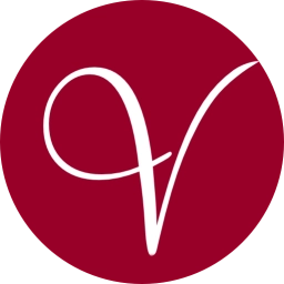 Logo of Visual Idea Network