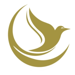 Logo of Celesticare